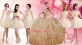 Classical Applique and Ruffled Champagne Sweet 16 Dress and Short Dama Dresses SJQDDT93002ZHTZ001FOR 