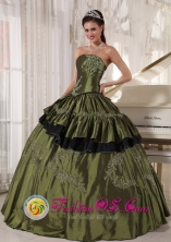 Customize Olive Green Taffeta Strapless Appliques beading 2013 Choluteca Honduras Quinceanera Dresses Party Wholesale Style PDZY517FOR 