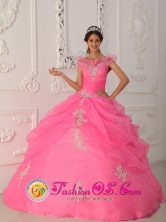 Rose Pink Quinceanera Dress V-neck Taffeta and Organza Appliques With Beading Ball Gown For 2013 Venado Tuerto Argentina Style QDZY267FOR