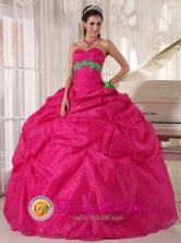 Hot Pink Quinceanera Dress With Organza Appliques for 2013 Remedios de Escalada Argentina Graduation Style PDZY666FOR 