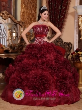 Appliques Burgundy Strapless Organza 2013 Puerto Rico Colombia Rolling Flower  Quinceanera Dresses Style QDZY697FOR
