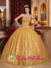 Gold Paillette Ball Gown and Appliques Strapless Bodice For 2013 Paz de Ariporo Colombia Quinceanera Style QDZY045FOR 