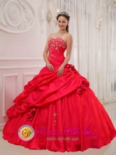 Segovia Colombia Customer Made Taffeta For Beautiful Red Quinceanera Dress and Sweetheart Appliques Ball Gown Style  QDZY303FOR
